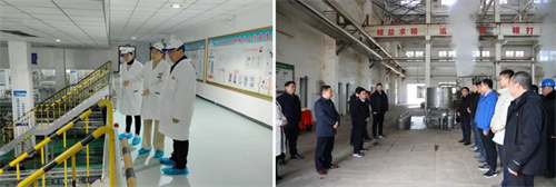 letou����������(�й���)�ٷ���վ