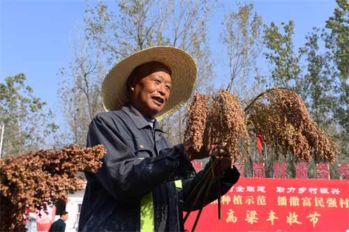 letou����������(�й���)�ٷ���վ