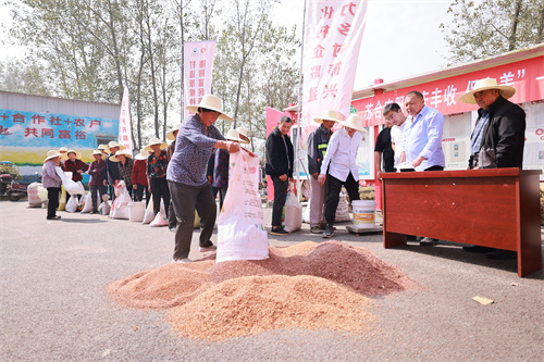 letou����������(�й���)�ٷ���վ