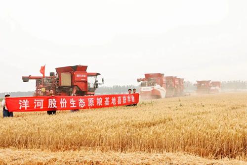 letou¹ú¼ÊÃ×À¼¡¤(ÖйúÇø)¹Ù·½ÍøÕ¾